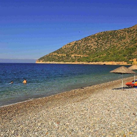 Melinda Pension & Restaurant Mesudiye  Extérieur photo