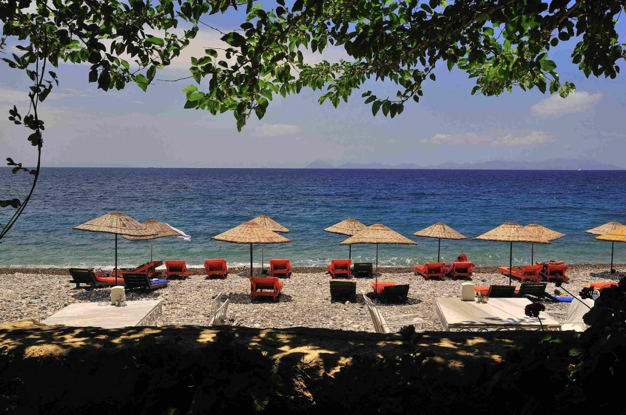 Melinda Pension & Restaurant Mesudiye  Extérieur photo