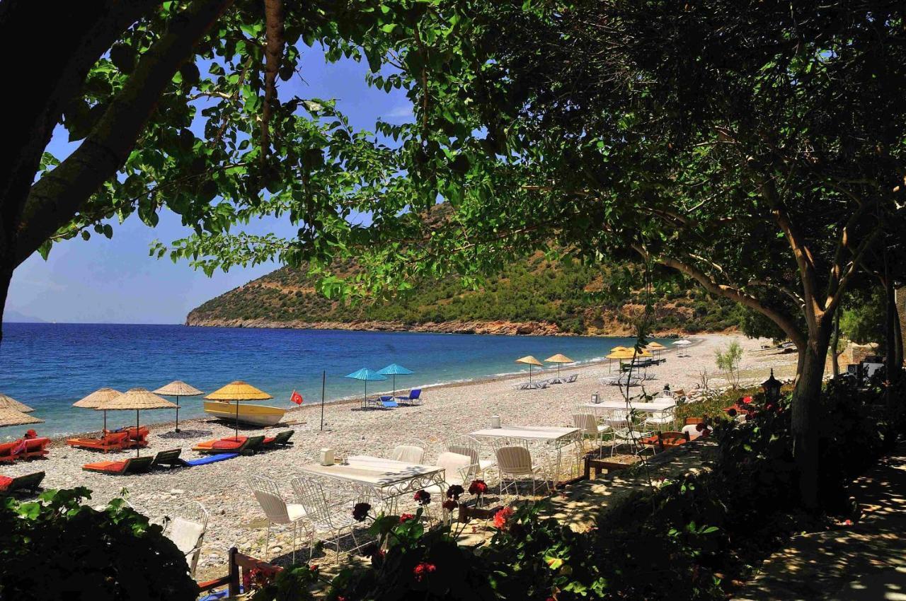 Melinda Pension & Restaurant Mesudiye  Extérieur photo